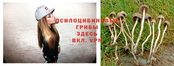 прущий лед Аркадак