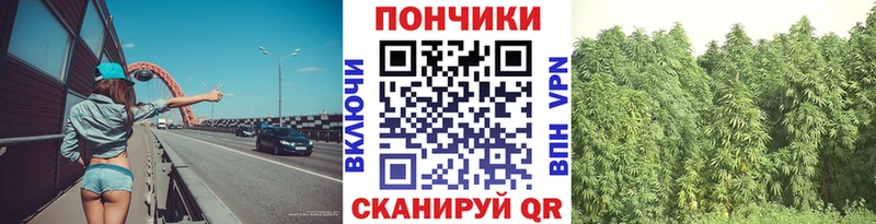 наркошоп  Сухой Лог  Марихуана марихуана 